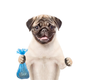 Dog Waste Management - Poop Bags, Pooper Scoopers, Waste Removal