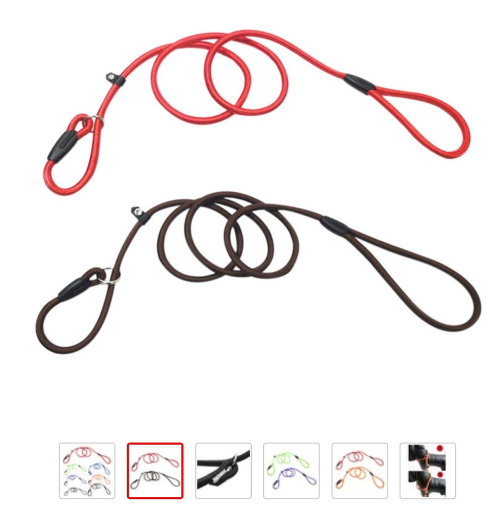 Dog Leashes and Walking Supplies